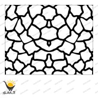 اکسان استور