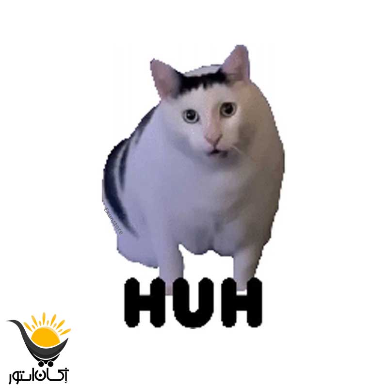 برچسب بدنه خودروطرح گربه 