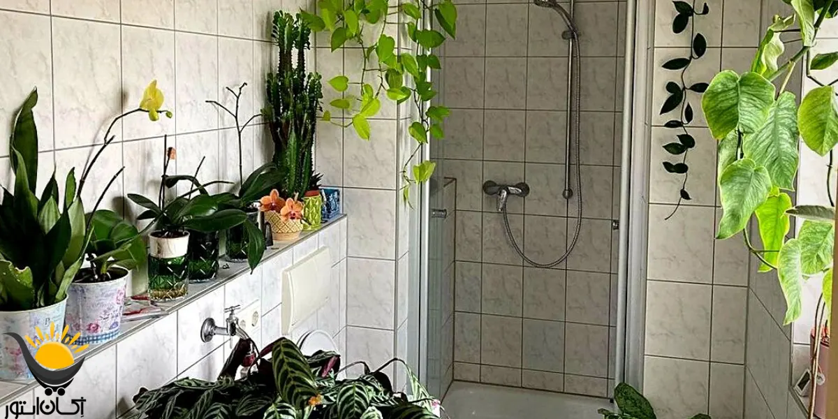 زیباسازی و بازسازی حمام با گل های طبیعی
